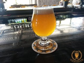 Beer Head