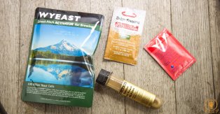 How to Choose a Yeast Strain For Beer Brewing?