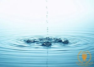 What are the basic requirements for beer brewing water?