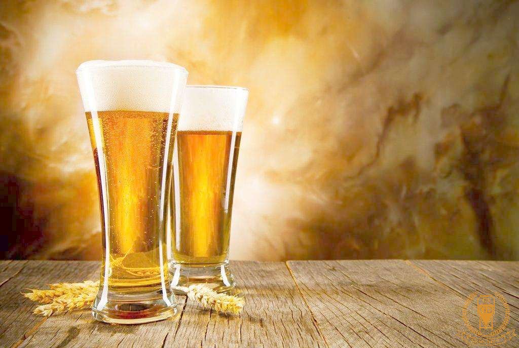 Requirements of final wort before fermentation for industrial beer