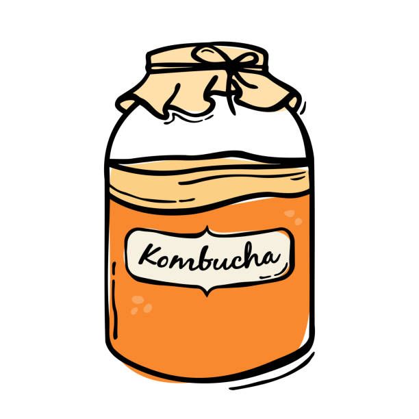 Where Science Meets Craft-Efficient 1500L Kombucha Brewing System