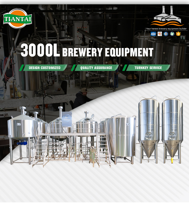 Cost-Effective Complete 3000L Brewing System for Microbrewery Automated PLC Control