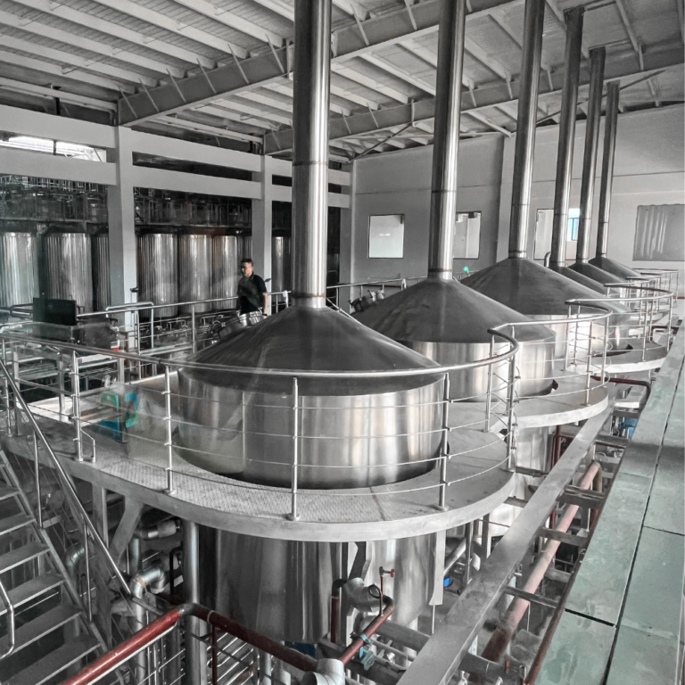 Équipement de brasserie d'une capacité de 50 000 hL/an