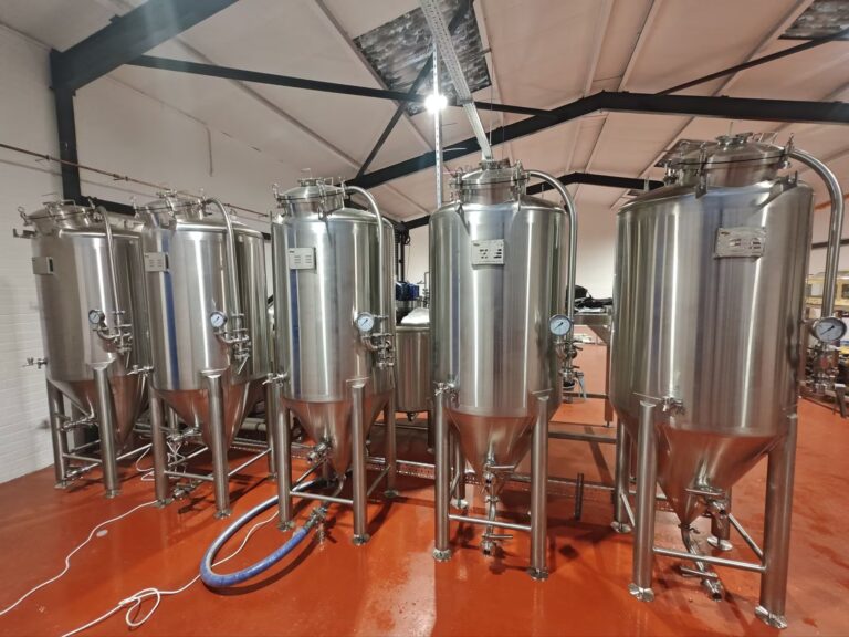 500L single-layer fermenter
