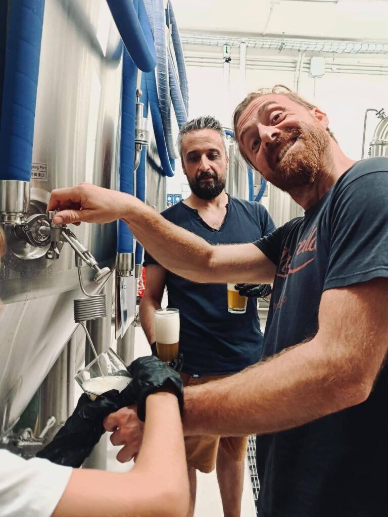 Équipement de brasserie 500L