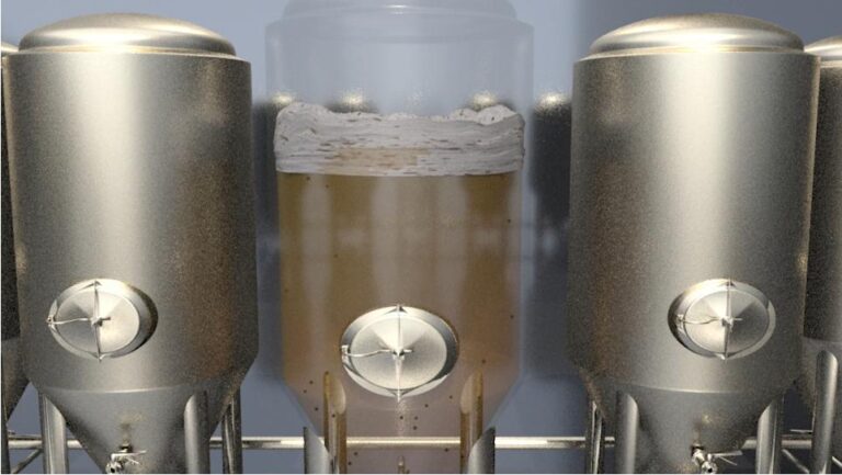 Beer Fermentation